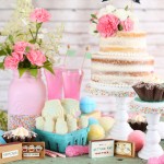 Country Chic Bridal Shower