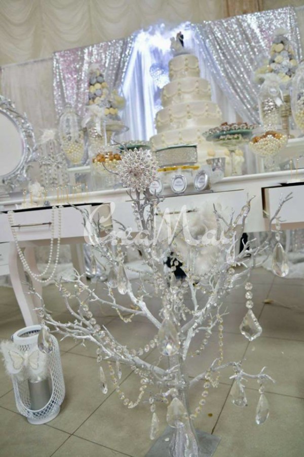 Silver Wonderland Wedding - Bridal Shower Ideas - Themes